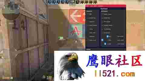 [CSGO]CSGO2·Cynosys外部方框透视显血量辅助 v12.15